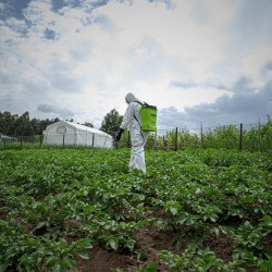 PULVERIZADOR A BATERÍA DE LITIO 16L