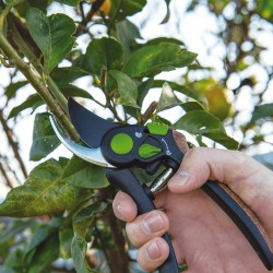 Tijera de podar cómoda